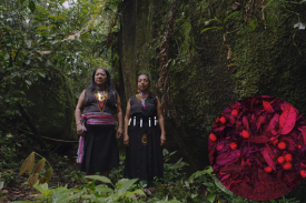 still from film; two women in indigenous dress stand in a rainforest